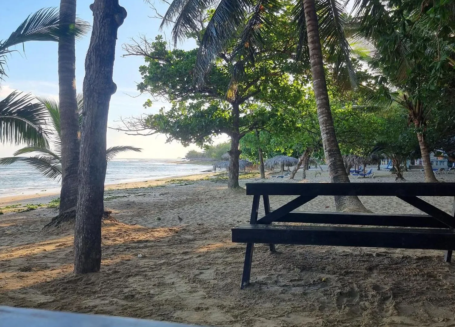 Beach Haven - Seaside Apartment With Pool Puerto Plata 0*,