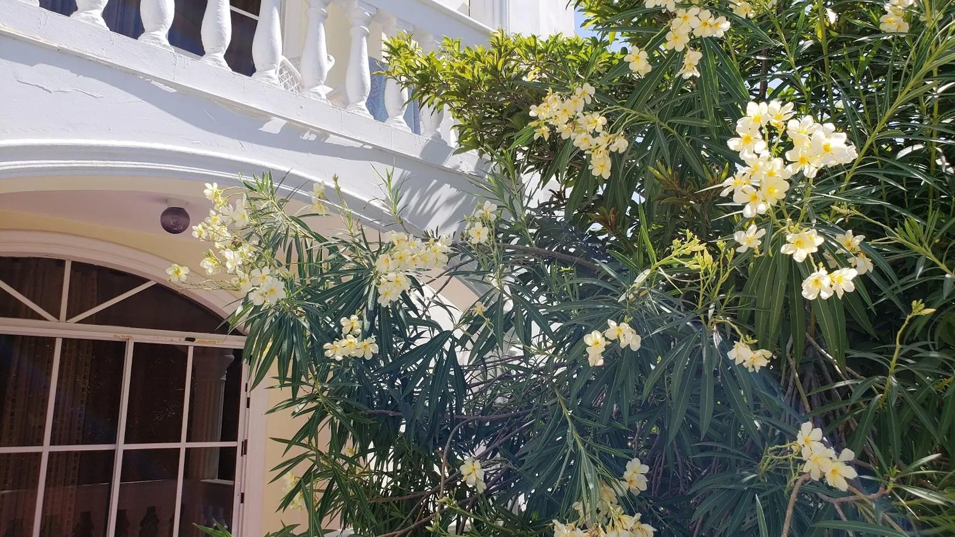 Beach Haven - Seaside Apartment With Pool Puerto Plata