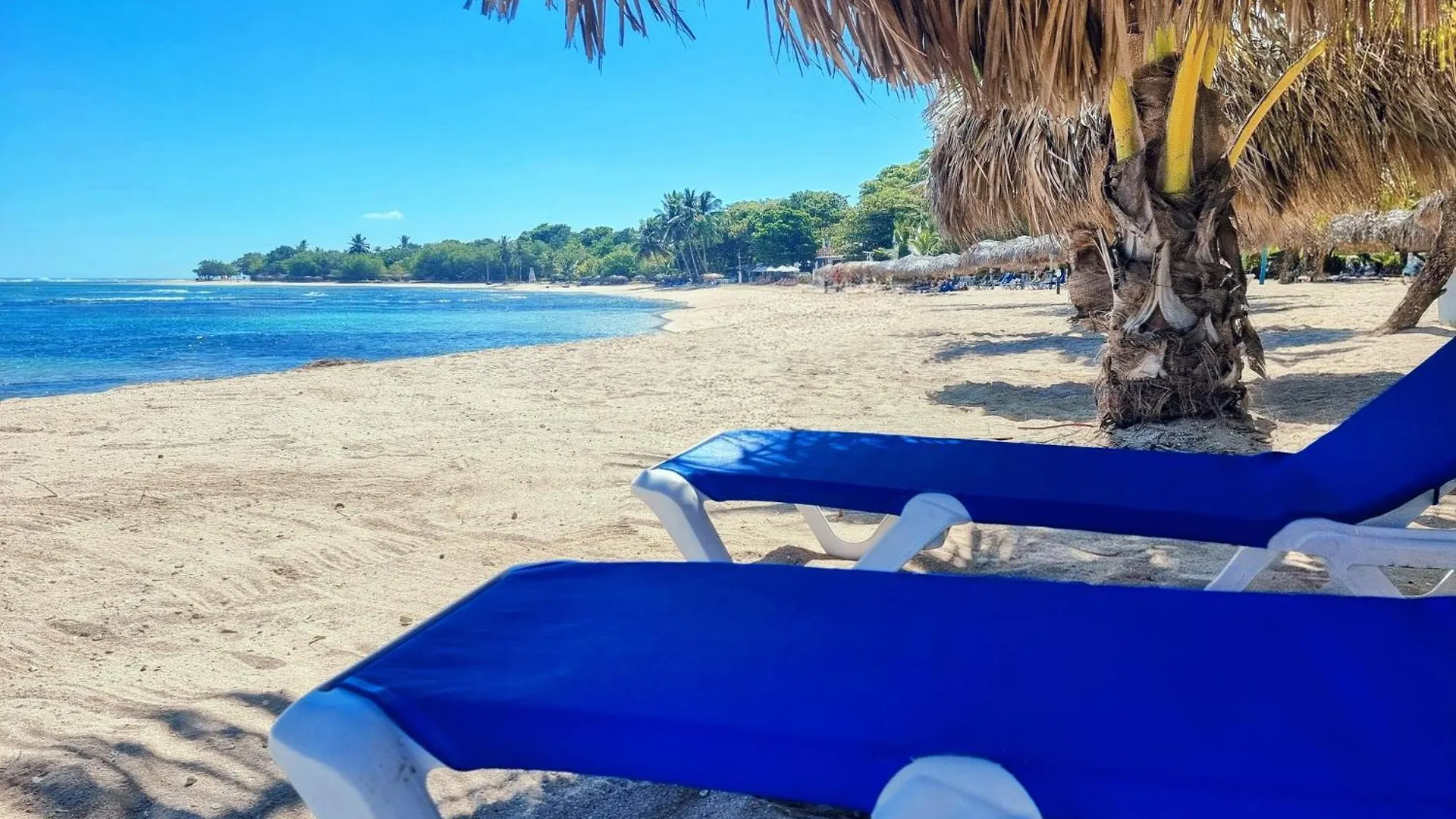 Beach Haven - Seaside Apartment With Pool Puerto Plata 0*,  Dominican Republic